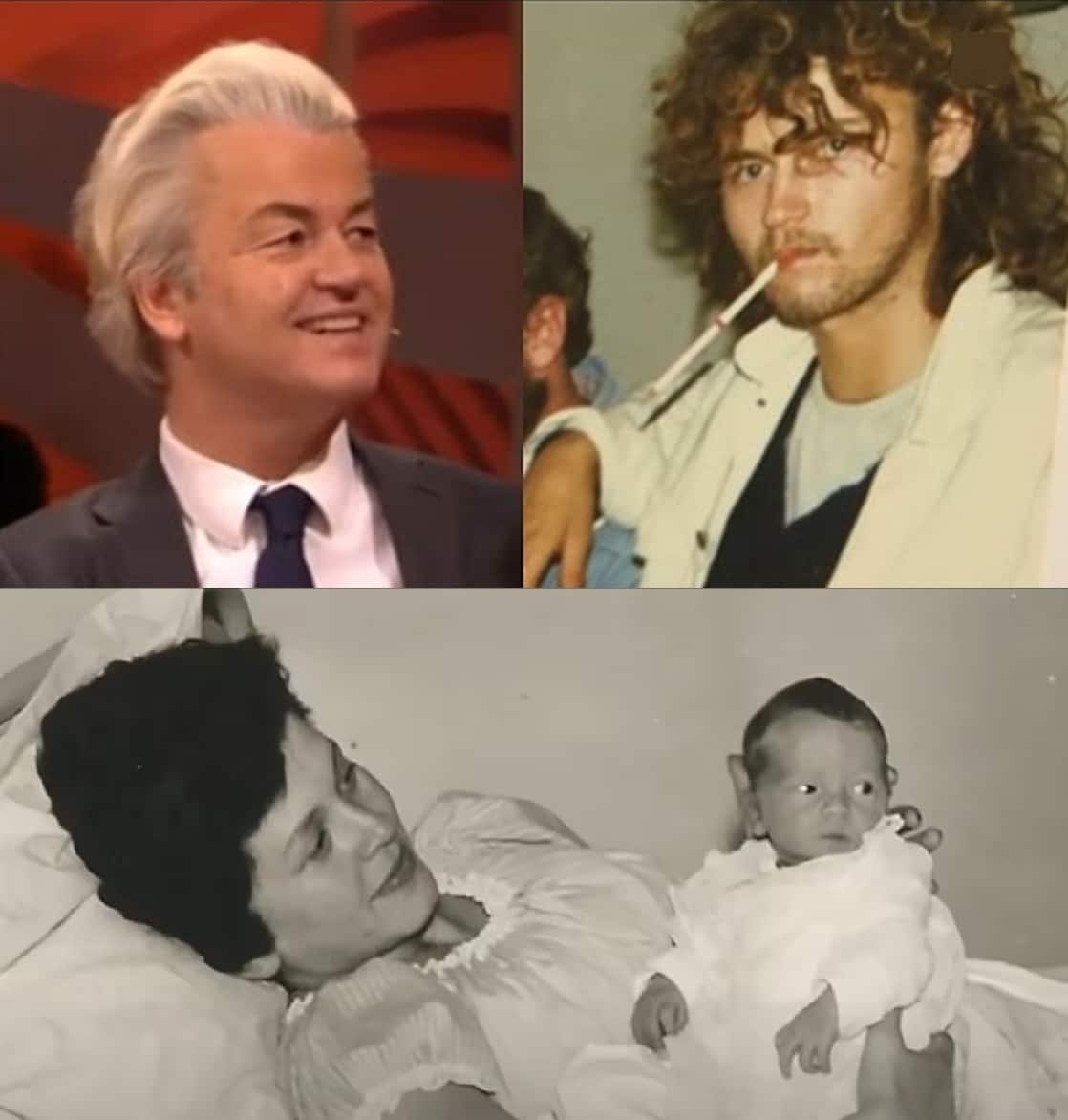 Lees meer over het artikel Wie is Geert Wilders?
